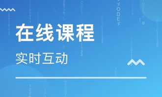 思鴻集團(tuán) 深耕職業(yè)教育市場，打造在線職業(yè)教育培訓(xùn)專業(yè)平臺(tái)與軟件開發(fā)