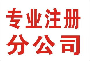 重慶南岸財(cái)務(wù)代理代賬與會(huì)計(jì)審計(jì)服務(wù)的價(jià)值解析